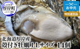 【ふるさと納税】北海道 厚岸産 殻付き 牡蠣 LLサイズ 14個 お中元 特別選別品