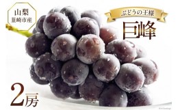 【ふるさと納税】【先行受付】 ぶどう 韮崎市産 巨峰 約450g×2 計約900g [Inakakara 山梨県 韮崎市 20742343] フルーツ 果物 ブドウ 葡