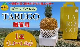 【ふるさと納税】【沖縄県東村産】東物産「TARUGO」約1.3kg（1玉）黄箱／贈答用　2024年発送