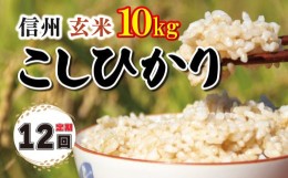 【ふるさと納税】【定期便12回】信州米 こしひかり 玄米 10kg 長野県産 | 米 コシヒカリ 玄米 お米 信州米  5kg × 2袋 × 12回 小計10kg