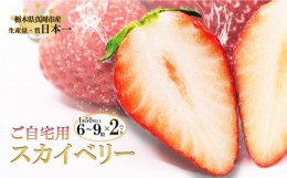 【ふるさと納税】【先行予約】ご自宅用 スカイベリー (6~9粒×2パック×1) 真岡市 栃木県 送料無料