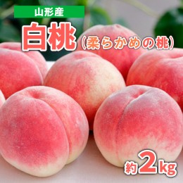 【ふるさと納税】山形産 白桃 (柔らかめの桃)　約2kg 秀品 【令和6年産先行予約】FS23-717