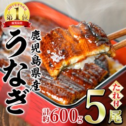 【ふるさと納税】【0244311a】並サイズの満足感！東串良町のうなぎ蒲焼(無頭)(5尾・計約600g・タレ、山椒付)うなぎ 高級 ウナギ 鰻 国産 