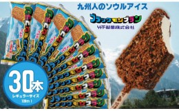 【ふるさと納税】ブラックモンブラン30本セット 竹下製菓  アイス クリーム スィーツ