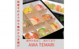 【ふるさと納税】Awa Temari (阿波てまり）（さつま揚げ９個）