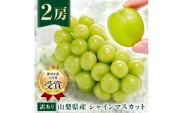 【ふるさと納税】＜ 訳あり ＞ シャインマスカット 2房 1kg 以上 先行予約 2024年8月下旬より順次出荷予定_ ふるさと納税 シャインマスカ