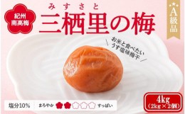 【ふるさと納税】紀州南高梅　三栖里の梅（塩分10%）　4kg(2kg×2個）  / 田辺市 紀州南高梅 南高梅 梅干し 梅干 梅  肉厚 お米 おにぎり