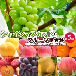 【ふるさと納税】シャインマスカットとフルーツ詰合せ 約5kg 【令和6年産先行予約】FS23-803