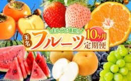 【ふるさと納税】【 定期便 10回 】 まるごと 堪能 ！ 人気 フルーツ  | 果物 くだもの フルーツ みかん 赤いちご 白いちご 不知火 スイ