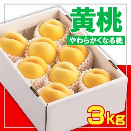 【ふるさと納税】☆フルーツ王国山形☆黄桃秀品 3kg [やわらかくなる桃] 【令和6年産先行予約】FS23-828