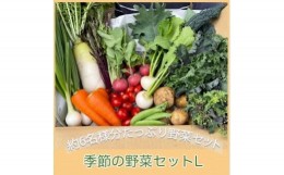 【ふるさと納税】京都府綾部市の季節の野菜セットL（4〜6名様分）農薬不使用 無農薬 新鮮 野菜 セット 詰め合わせ 京都 綾部 農家直送