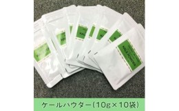 【ふるさと納税】国産ケール100%パウダー 10g×10袋 青汁 ケール スムージー 離乳食 野菜 粉末 京都 綾部