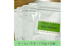 【ふるさと納税】国産ケール100%パウダー 10g×5袋 青汁 ケール スムージー 離乳食 野菜 粉末 京都 綾部