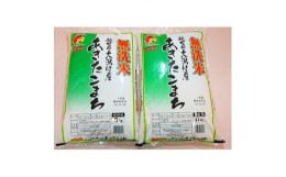 【ふるさと納税】あきたこまち無洗米10kg(5kg×2)【1107611】