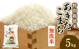 【ふるさと納税】令和5年度産米　特別栽培米あきたこまち　無洗米5kg【1283154】