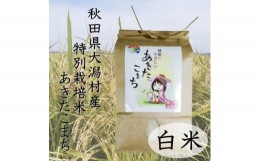 【ふるさと納税】令和5年度産米　特別栽培米あきたこまち　白米2kg【1283155】