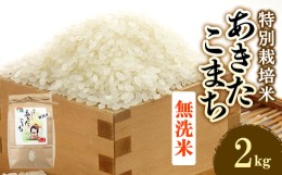 【ふるさと納税】令和5年度産米　特別栽培米あきたこまち　無洗米2kg【1283158】