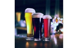 【ふるさと納税】伊豆の地ビール3種＜8本セット＞【1132743】