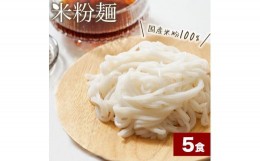 【ふるさと納税】流山のおいしいおこめで作った米粉麺 120g×5袋（中太麺）