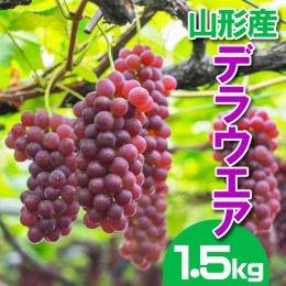 【ふるさと納税】☆フルーツ王国山形☆デラウェア ぶどう 1.5kg 【令和6年産先行予約】FS23-841