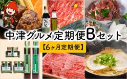 【ふるさと納税】【6ヶ月定期便】中津グルメ定期便Bセット しあわせハンバーグ、錦雲豚 味一ねぎ しゃぶしゃぶセット、さしみーとセット