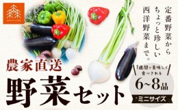 【ふるさと納税】農家直送新鮮野菜セット（ミニ）６〜８品