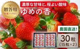 【ふるさと納税】【贈答用】いちご ゆめの香 30粒（15粒×2パック）化粧箱入 / いちご イチゴ 大粒 濃厚 ゆめの香 贈答 ギフト 2L 3L 長