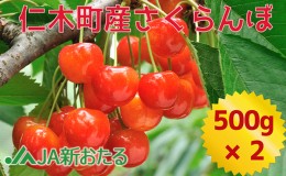 【ふるさと納税】先行受付 2024年7月から順次出荷 北海道 仁木町産 7月旬 さくらんぼ 1kg【JA新おたるの生産者厳選】