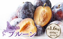 【ふるさと納税】先行予約  2024年9月から順次出荷　JA新おたる 北海道 仁木町産 季節のプルーン 1.6kg