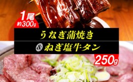 【ふるさと納税】うなぎ蒲焼き1尾（約300ｇ）& ねぎ塩牛タン（250ｇ）のセット　KP6205