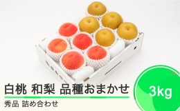 【ふるさと納税】もも 白桃 秀品 和梨 詰め合わせ 3kg フルーツ 果物 なし 令和6年産 2024年産 山形県産 送料無料 ns-fshnx3