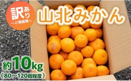 【ふるさと納税】訳あり 山北みかん ご家庭用 約10kg（80〜120個程度） 山北みらい - 果物 フルーツ 柑橘類 温州みかん ミカン 蜜柑 甘い