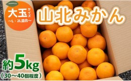 【ふるさと納税】山北みかん 大玉サイズ L・2L混合 約5kg（30〜40個程度） 山北みらい - 果物 フルーツ 柑橘類 温州みかん ミカン 蜜柑 