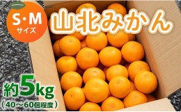 【ふるさと納税】山北みかん S・Mサイズ 約5kg（40〜60個程度） 山北みらい 秀品 - 果物 フルーツ 柑橘類 温州みかん ミカン 蜜柑 甘い 