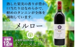 【ふるさと納税】【12回 定期便 】【熟した果実の香り】 赤 ワイン メルロー 750ml×1本 [ヴィニョブル安曇野 DOMAINE HIROKI 長野県 池