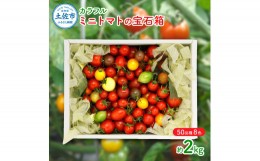【ふるさと納税】カラフルミニトマトの宝石箱 （約2kg） トマト ミニトマト とまと カラフルミニトマト 詰め合わせ 15品種以上 新鮮野菜 