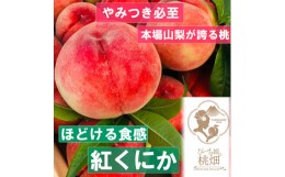 【ふるさと納税】【なめらかな紅くにかブランド】人気品種指定約1kg（３玉）【2024年発送】（PMK）B17-104