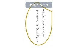 【ふるさと納税】【定期便6ヶ月】令和5年産　特別栽培米コシヒカリ　白米10kg（5kg×2袋）