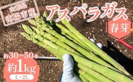 【ふるさと納税】【令和6年産先行予約】 アスパラガス (春芽) 約1kg (L〜2Lサイズ  約30〜50本前後) 《令和6年5月上旬〜発送》 『みつば