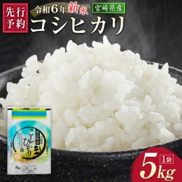 【ふるさと納税】2024年8月出荷［先行予約］新米コシヒカリ 5kg 令和6年 収穫予定分 有洗米【A257】