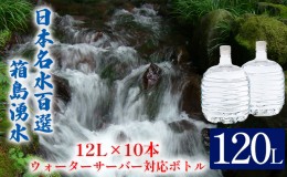 【ふるさと納税】群馬の名水 箱島湧水 エアL  12L×10本 ウォーターサーバー 対応ボトル(2本×5回) 飲料 ドリンク 飲料類 水 ミネラルウ