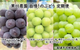 【ふるさと納税】[?5757-0422]ぶどう 2024年 先行予約 定期便 2回 先行予約 黒川農園 自慢！の 大粒 大房 ニューピオーネ 2房 シャインマ