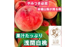 【ふるさと納税】【果汁たっぷり浅間白桃ブランド】人気品種指定約1kg（３玉）【2024年発送】（PMK）B17-108