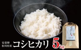 【ふるさと納税】安曇野松川村産 コシヒカリ 約5kg | 米 お米 コメ こめ 精米 白米 はくまい コシヒカリ こしひかり 長野県 松川村 信州