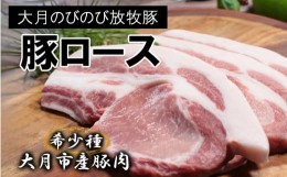 【ふるさと納税】【希少豚】大月のびのび放牧豚【カツ・ステーキ用ロース】600g以上 (約150g×4)