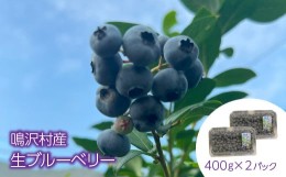 【ふるさと納税】【先行予約】鳴沢村産生ブルーベリー400ｇ×２パック ふるさと納税 ブルーベリー フルーツ  山梨県 鳴沢村 送料無料 NSJ