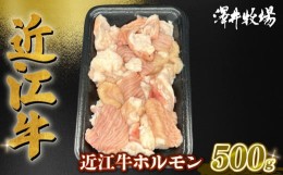 【ふるさと納税】近江牛 ホルモン 500g (250g×2)  ( 黒毛和牛 牛肉 肉 ギフト 焼肉 焼き肉 自宅用 高級 黒毛和牛 国産 ふるさと納税 ブ