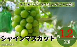 【ふるさと納税】林農園 シャインマスカット 約1.2kg 2房 【先行予約 2024年10月上旬から順次発送】