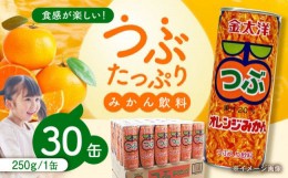 【ふるさと納税】金太洋 つぶオレンジみかん 30缶入り 1ケース 長崎県/太洋食品株式会社 [42ACAD001] みかん ジュース ミカン 缶 長崎 島