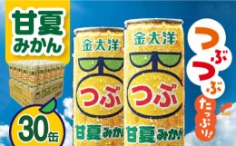 【ふるさと納税】金太洋 つぶ甘夏みかん 30缶入り・1ケース 長崎県/太洋食品株式会社 [42ACAD002] みかん ジュース ミカン 缶 長崎 島原 